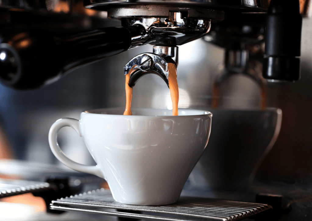Why Coffee Training Excels with the Nose