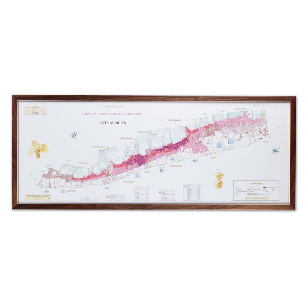 Burgundy region wine map