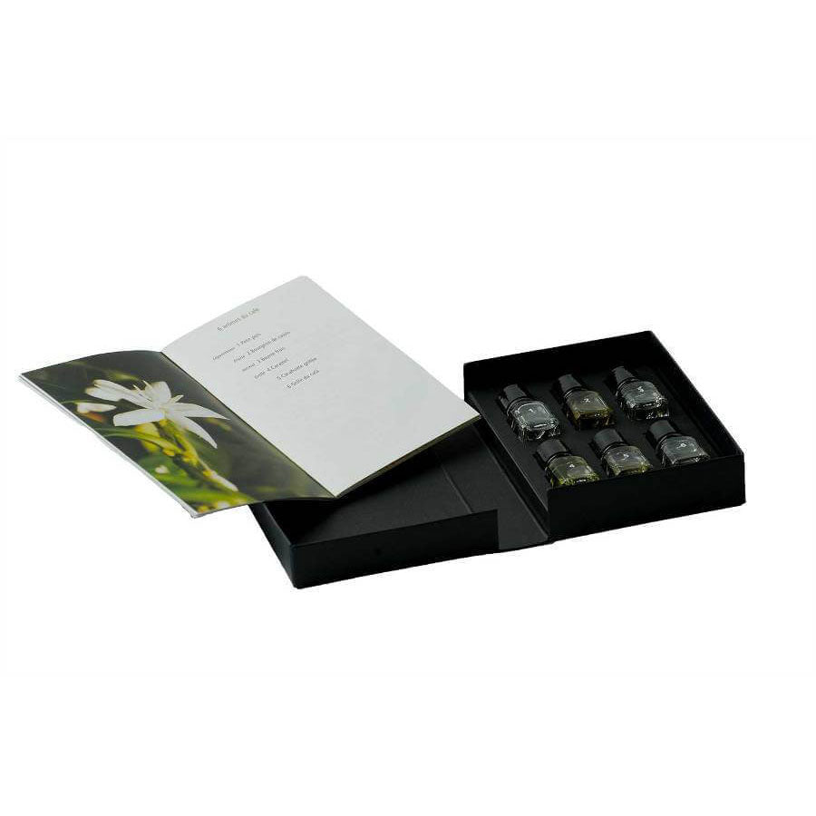 le nez du vin case temptation 6 aromas kit