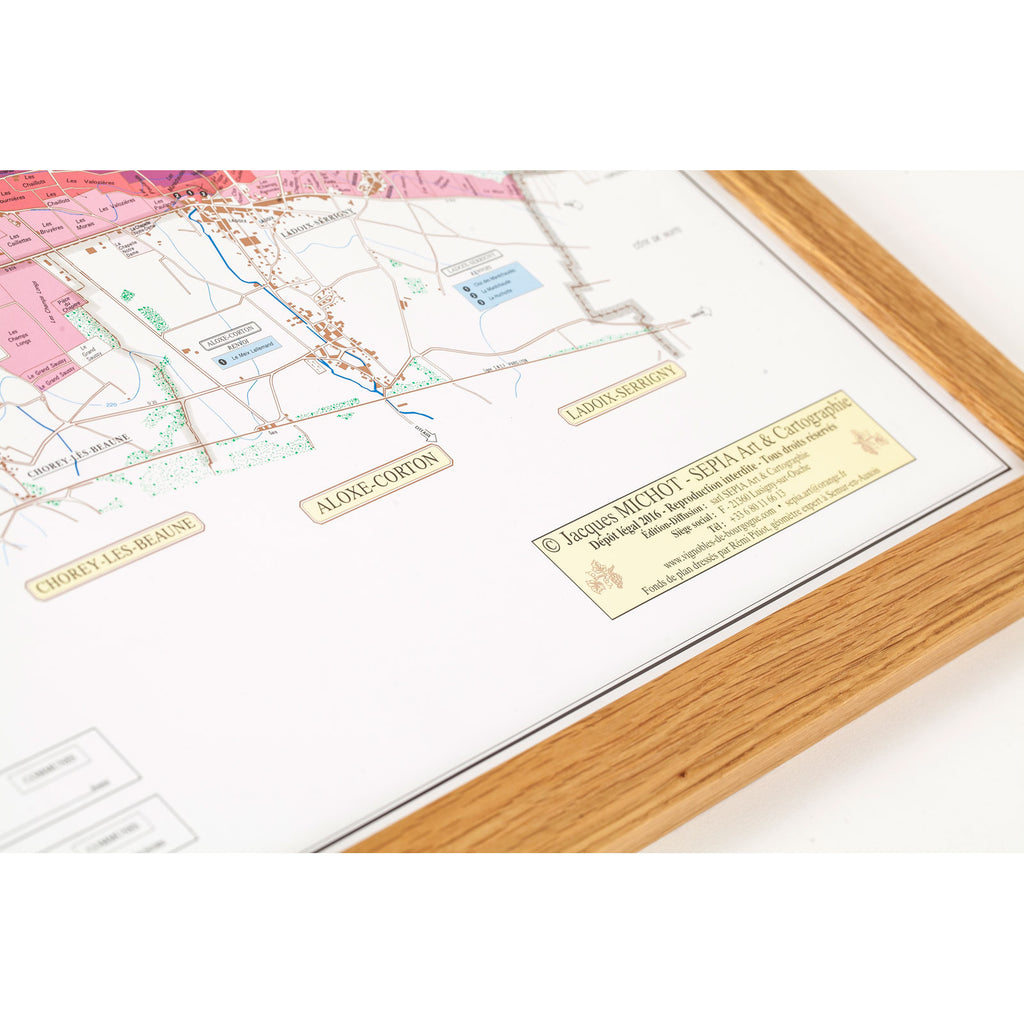 framed burgundy region vineyard maps