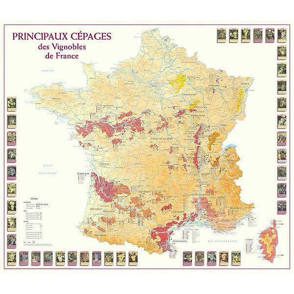 grape varieties map of france