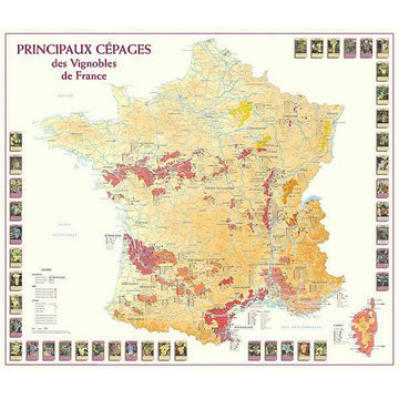 grape varieties map of france